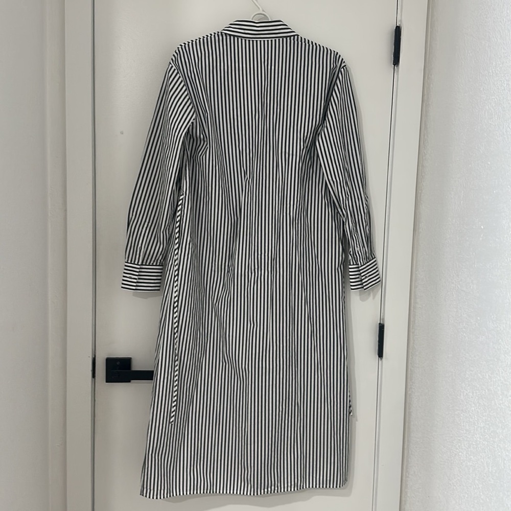 Everlane Supima® Cotton Midi Shirt Dress - Picture 6 of 6